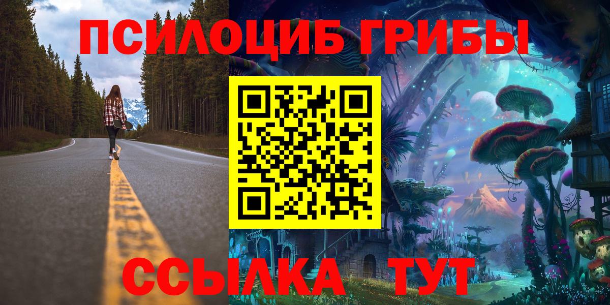 Псилоцибиновые грибы Psilocybe Зеленодольск